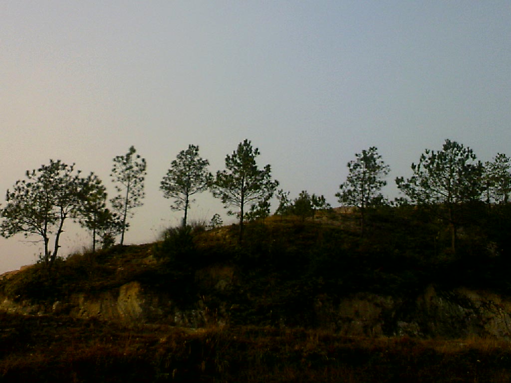 110203A005.jpg