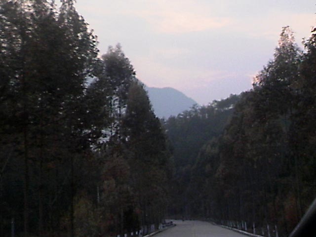 110203A009.jpg