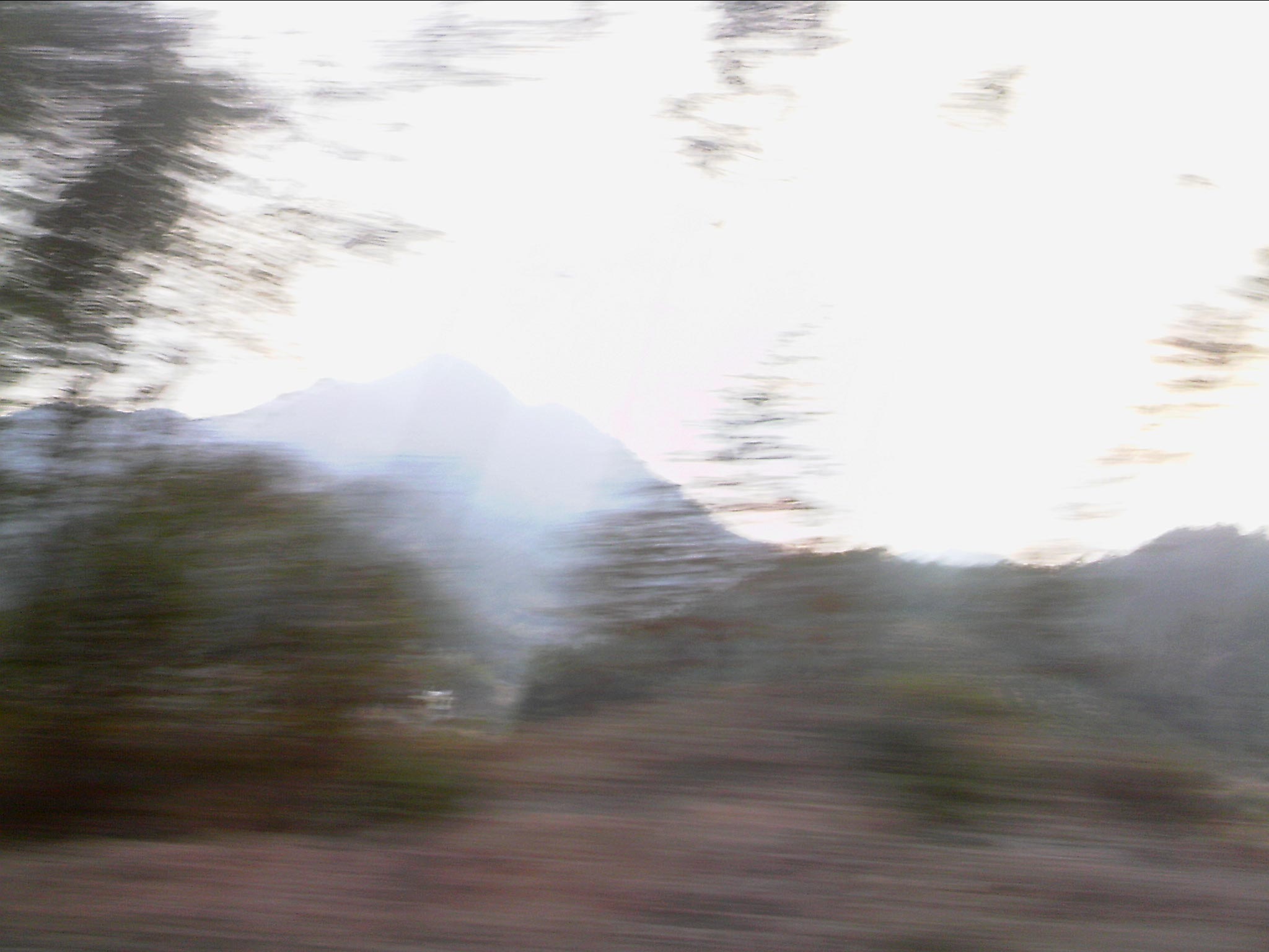 110203A016.jpg
