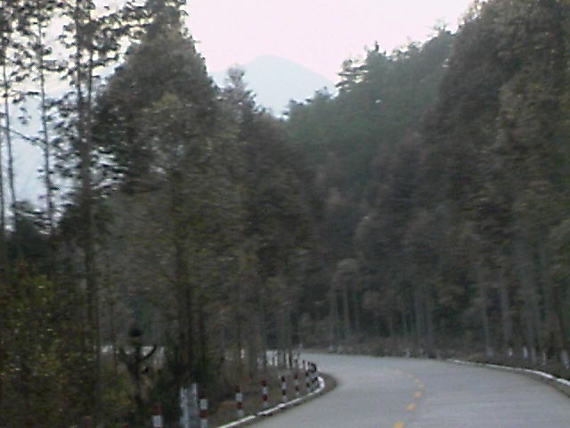 110203A010.jpg