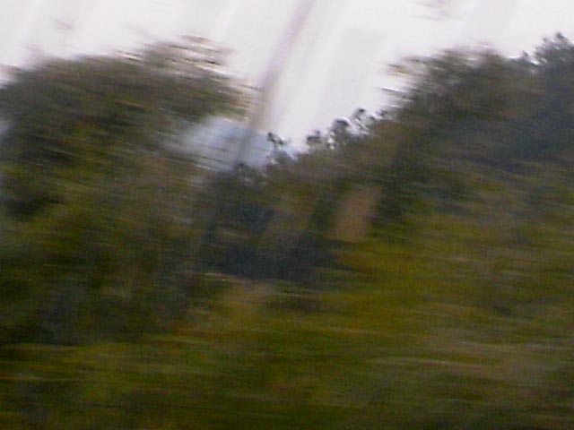 110203A011.jpg