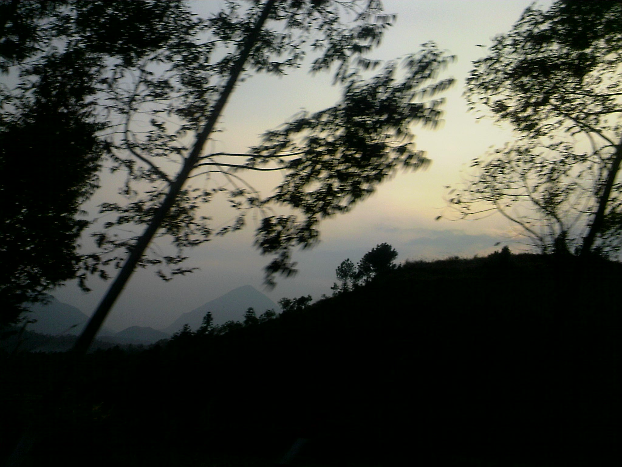 110203A008.jpg