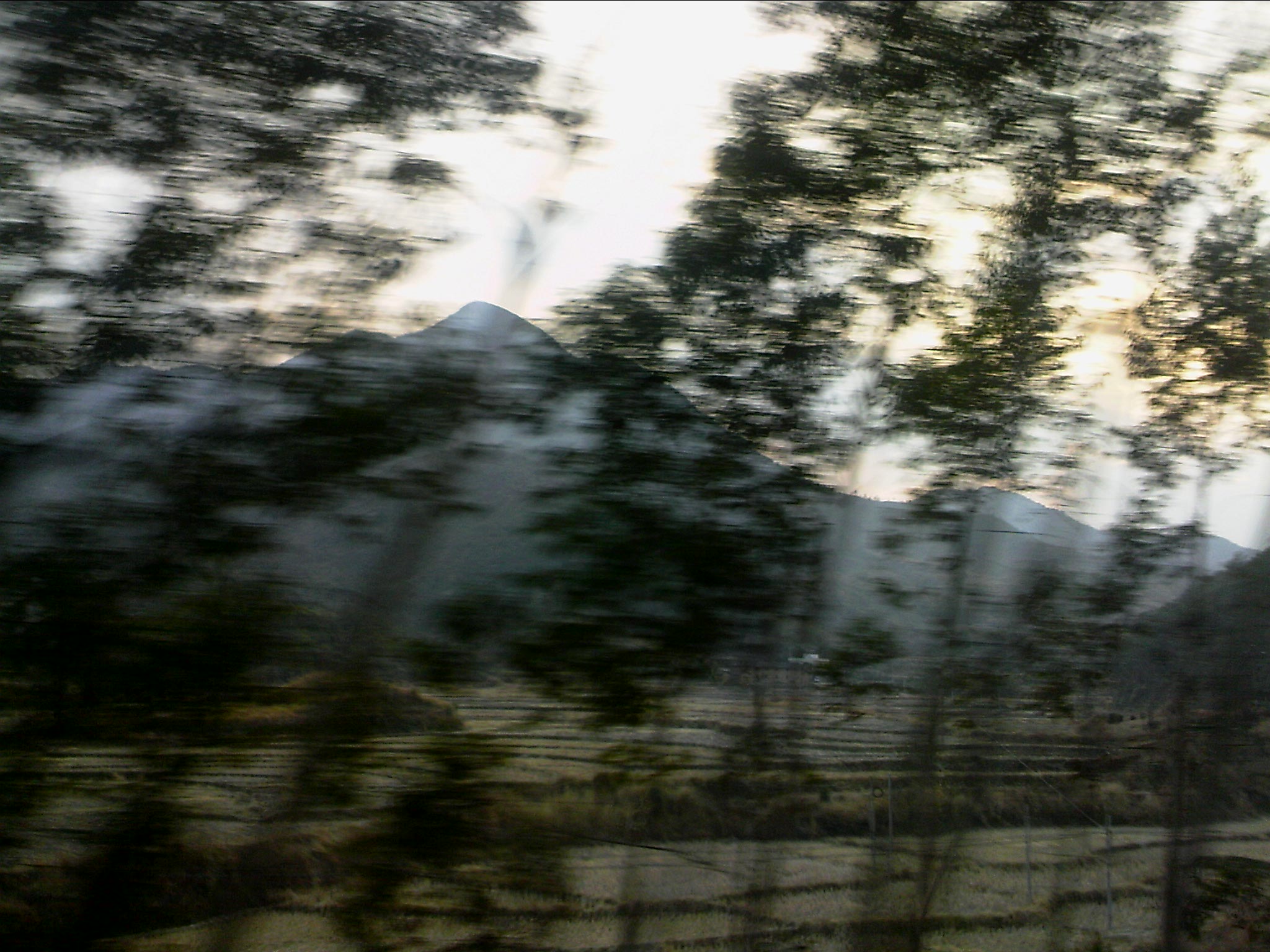 110203A015.jpg