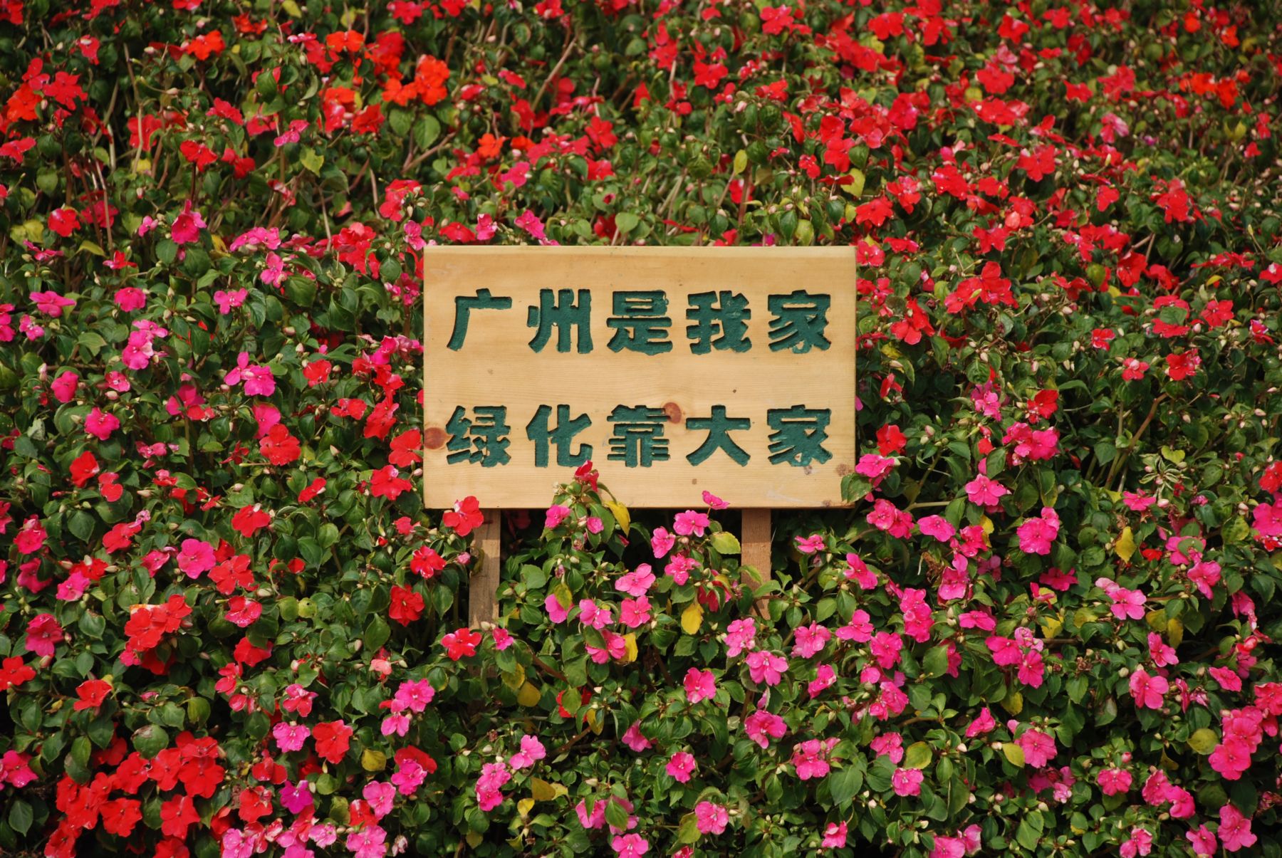 2011003.JPG