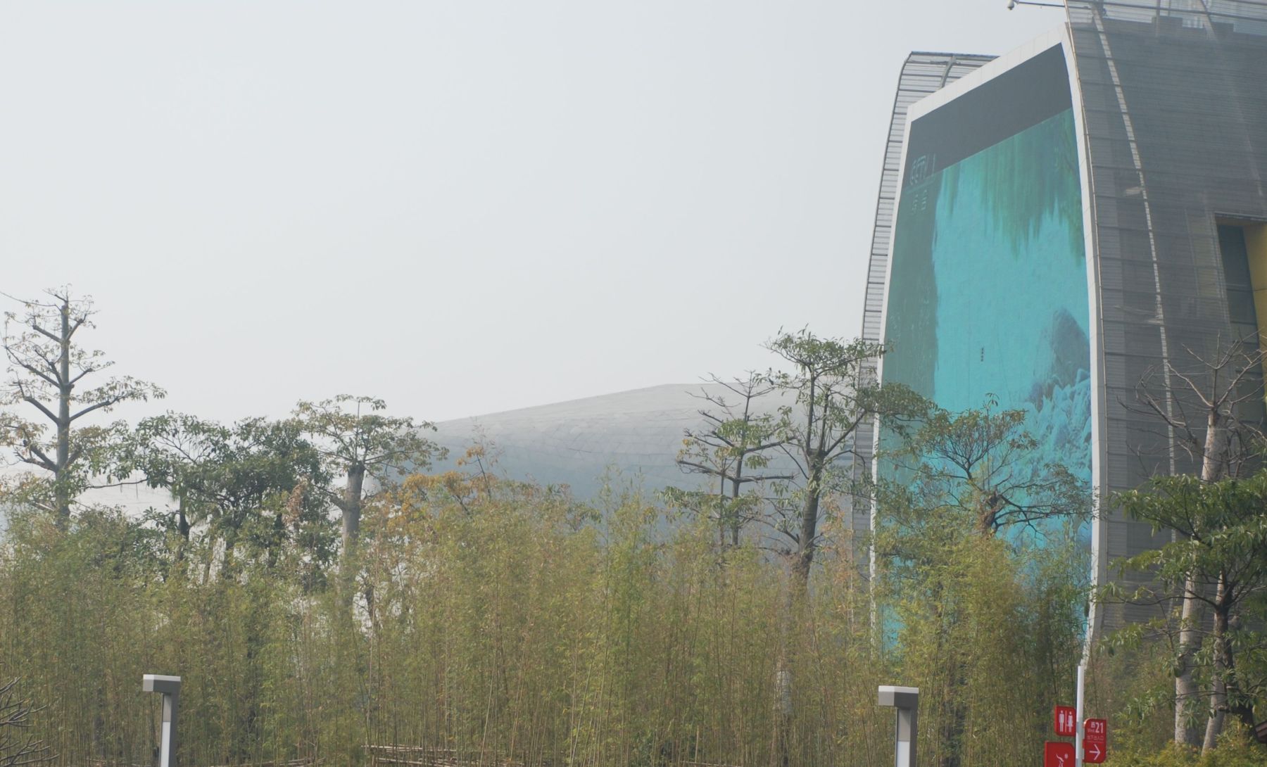 2011005.JPG