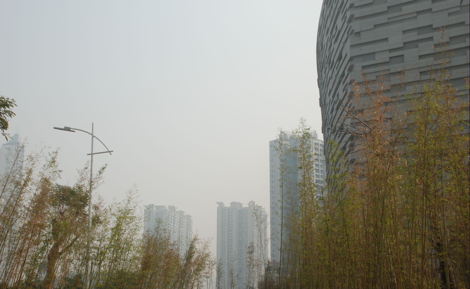 2011004.JPG