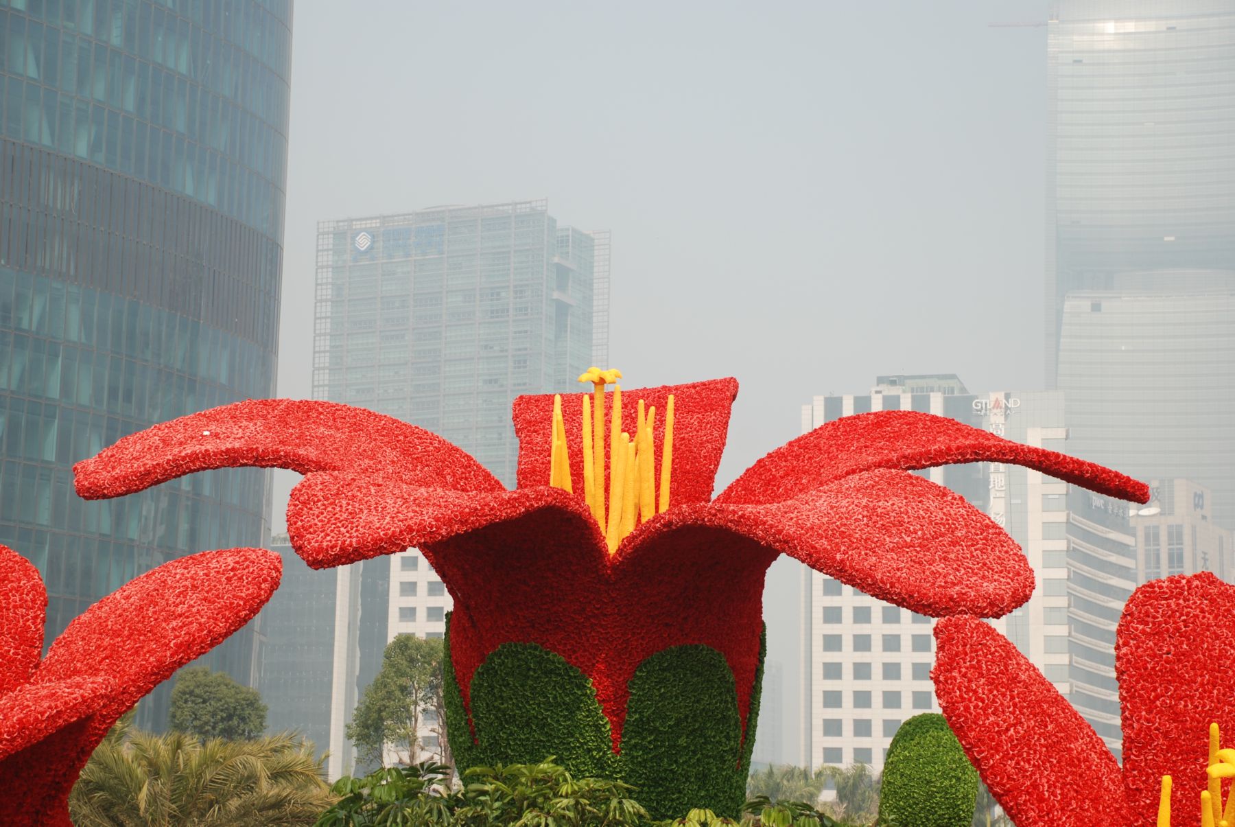 2011001.JPG