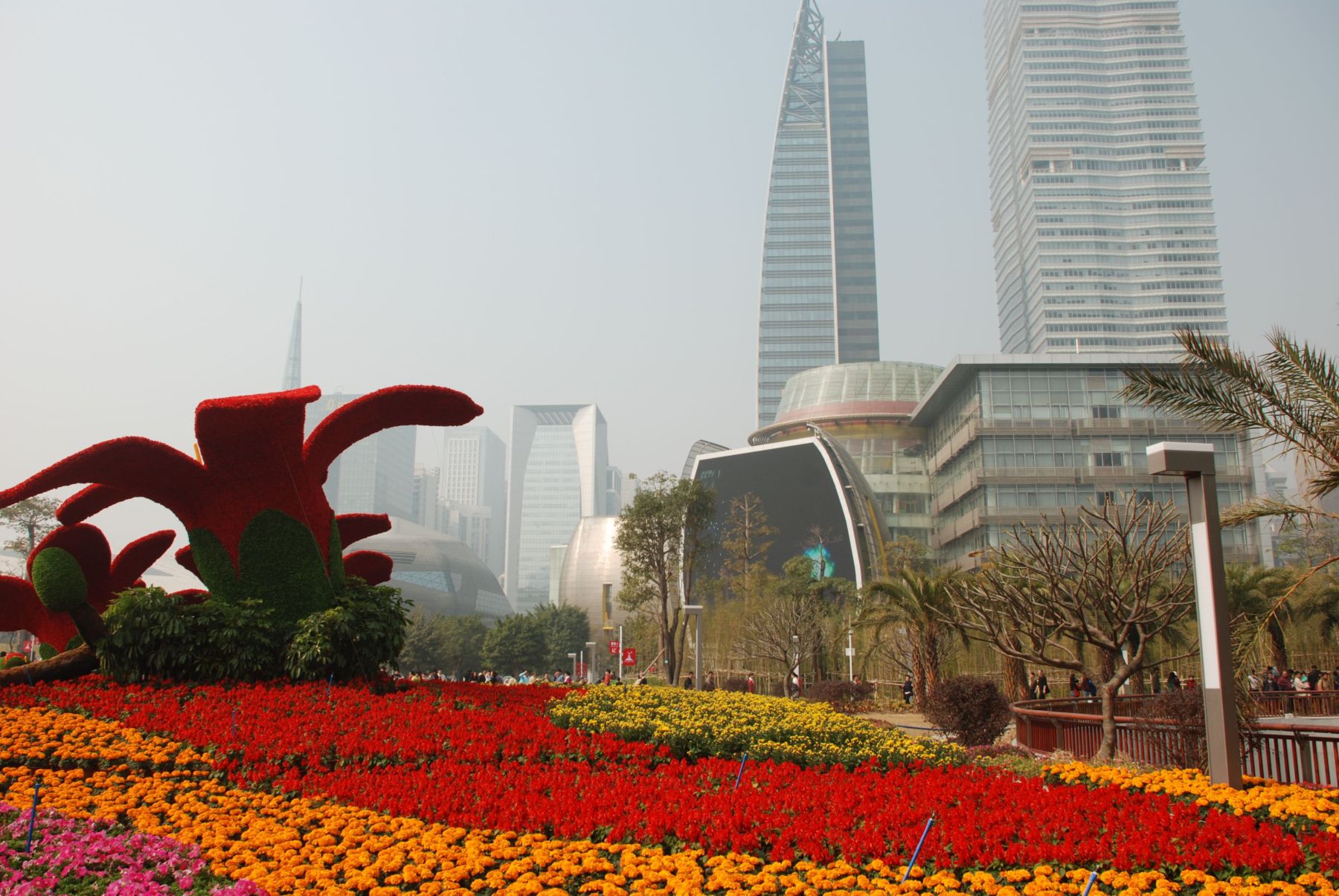 2011009.JPG