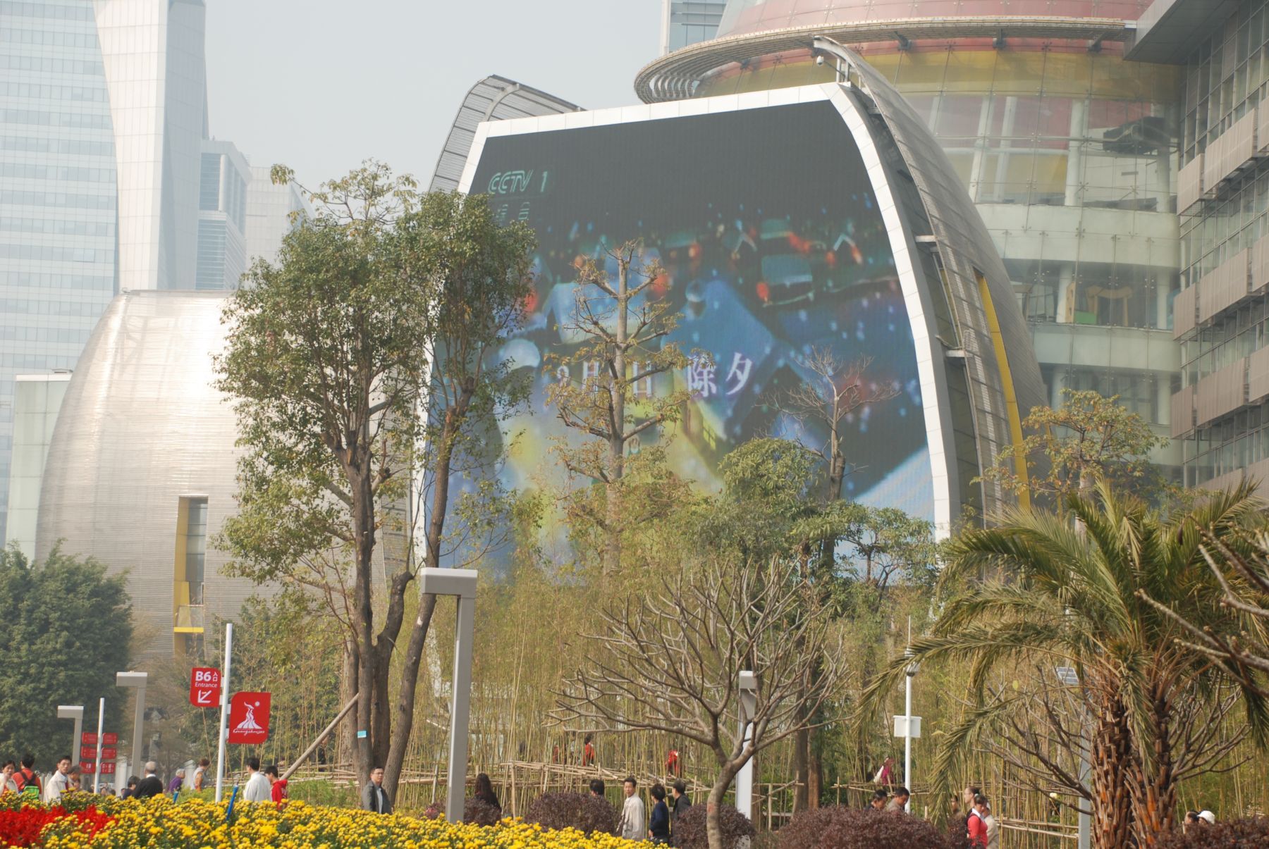 2011011.JPG