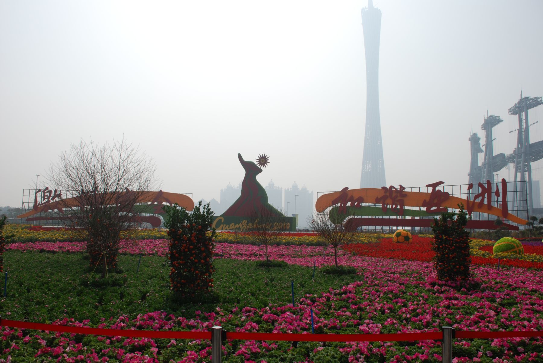 2011019.JPG