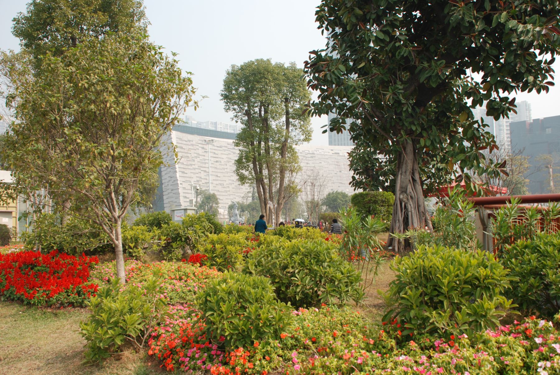 2011024.JPG