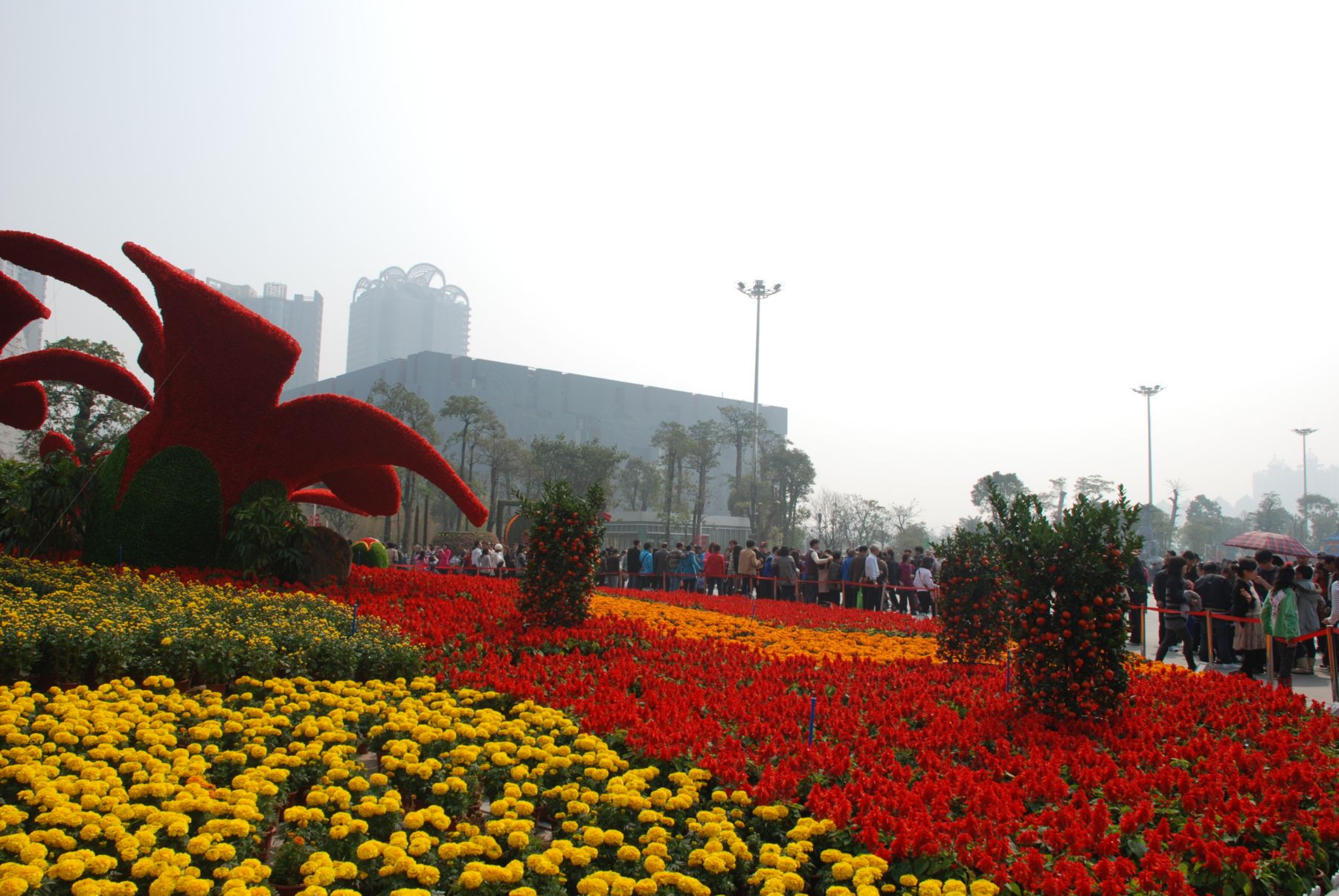 2011036.JPG