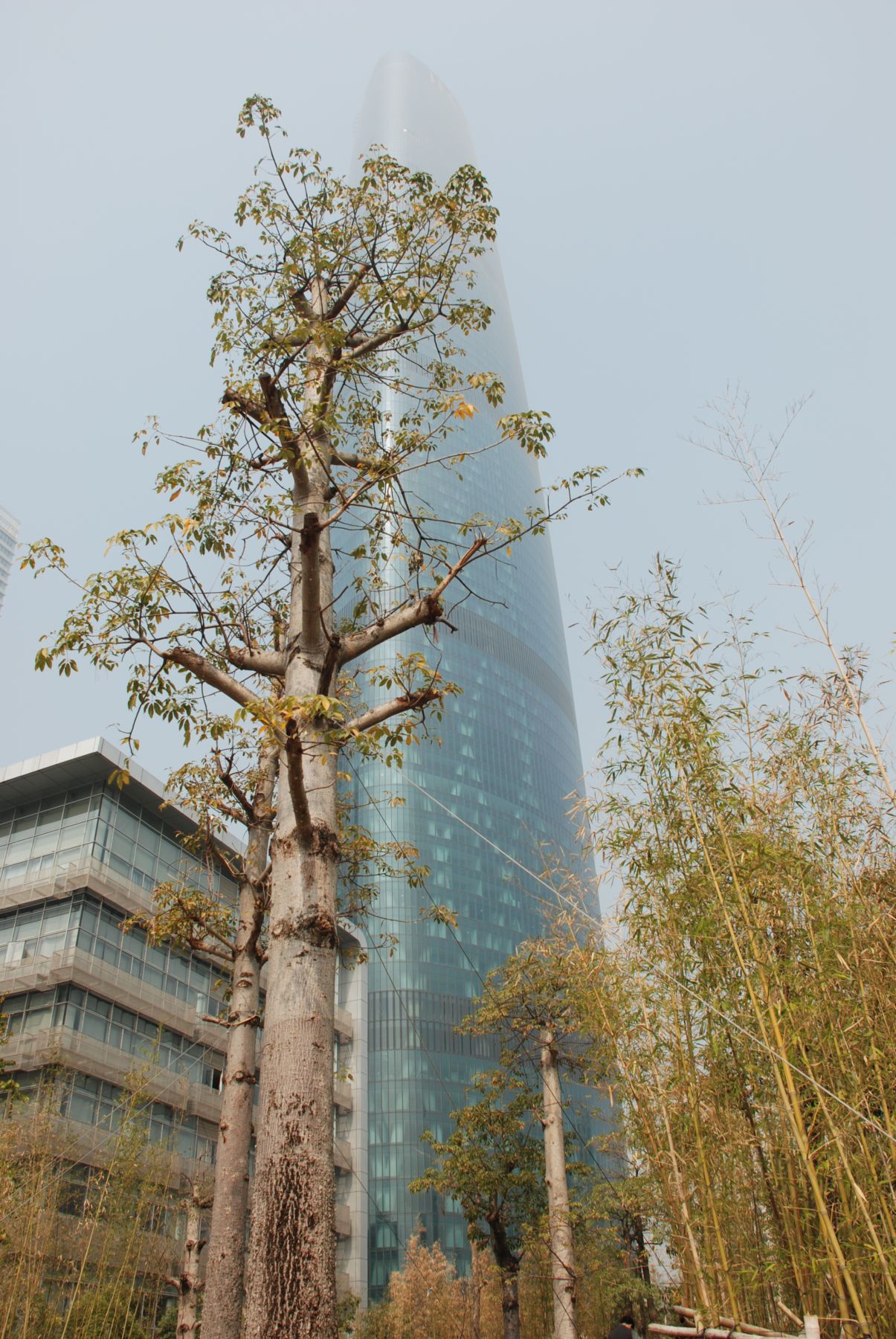2011033.JPG