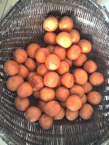 2011-01-29 09.57.24_С.jpg
