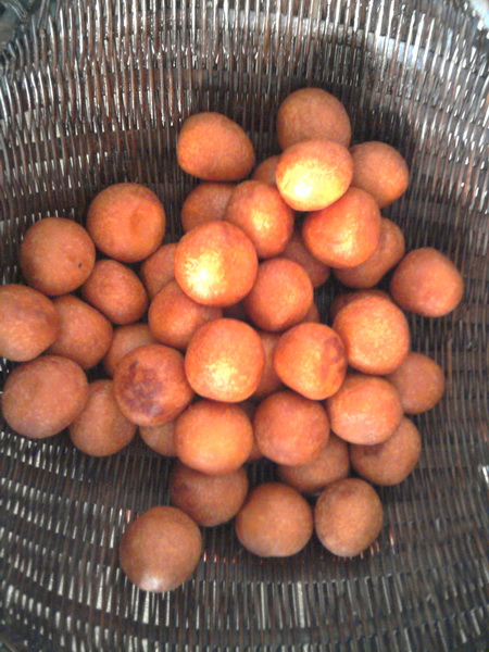 2011-01-29 09.55.58_С.jpg