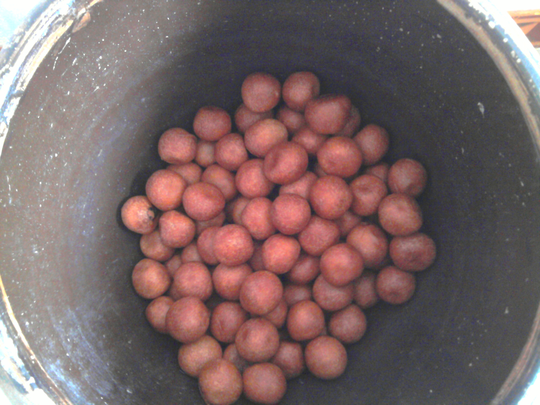 2011-01-29 10.32.47.jpg