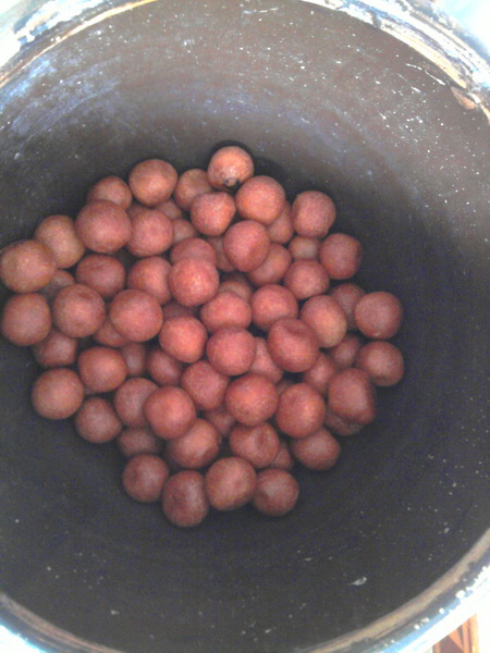 2011-01-29 10.32.47_С.jpg