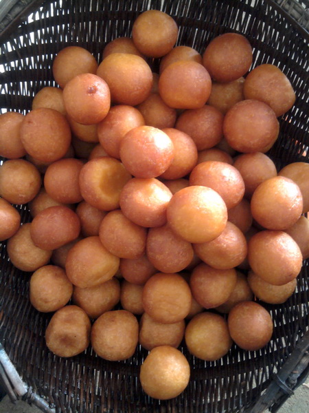 2011-01-29 12.37.26_С.jpg
