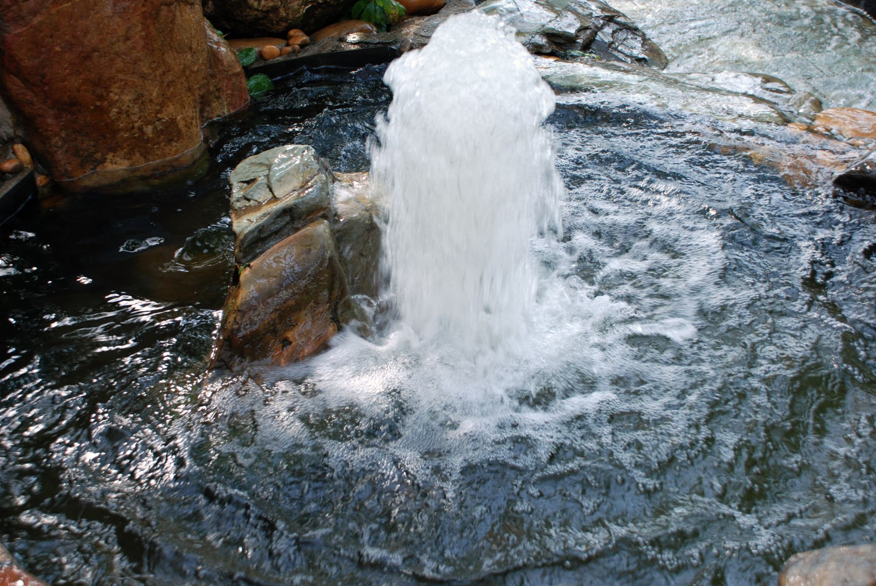 DSC_0197.JPG