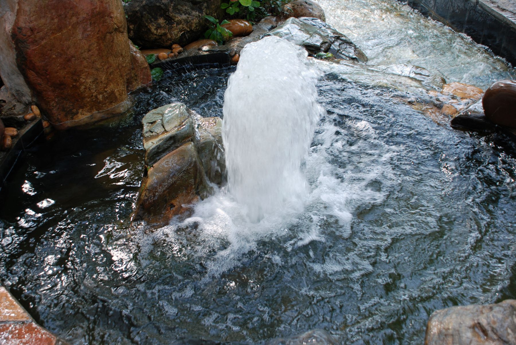 DSC_0198.JPG