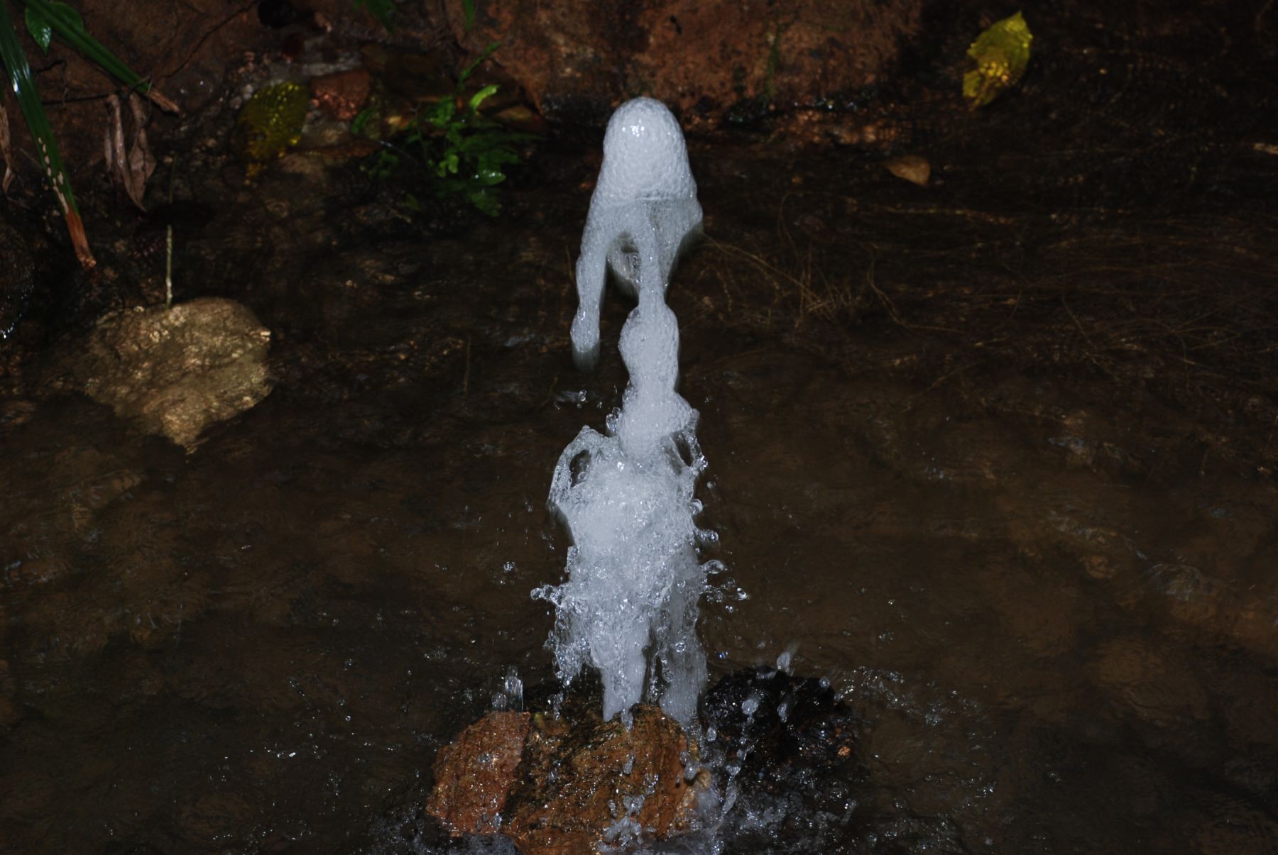 DSC_0261.JPG