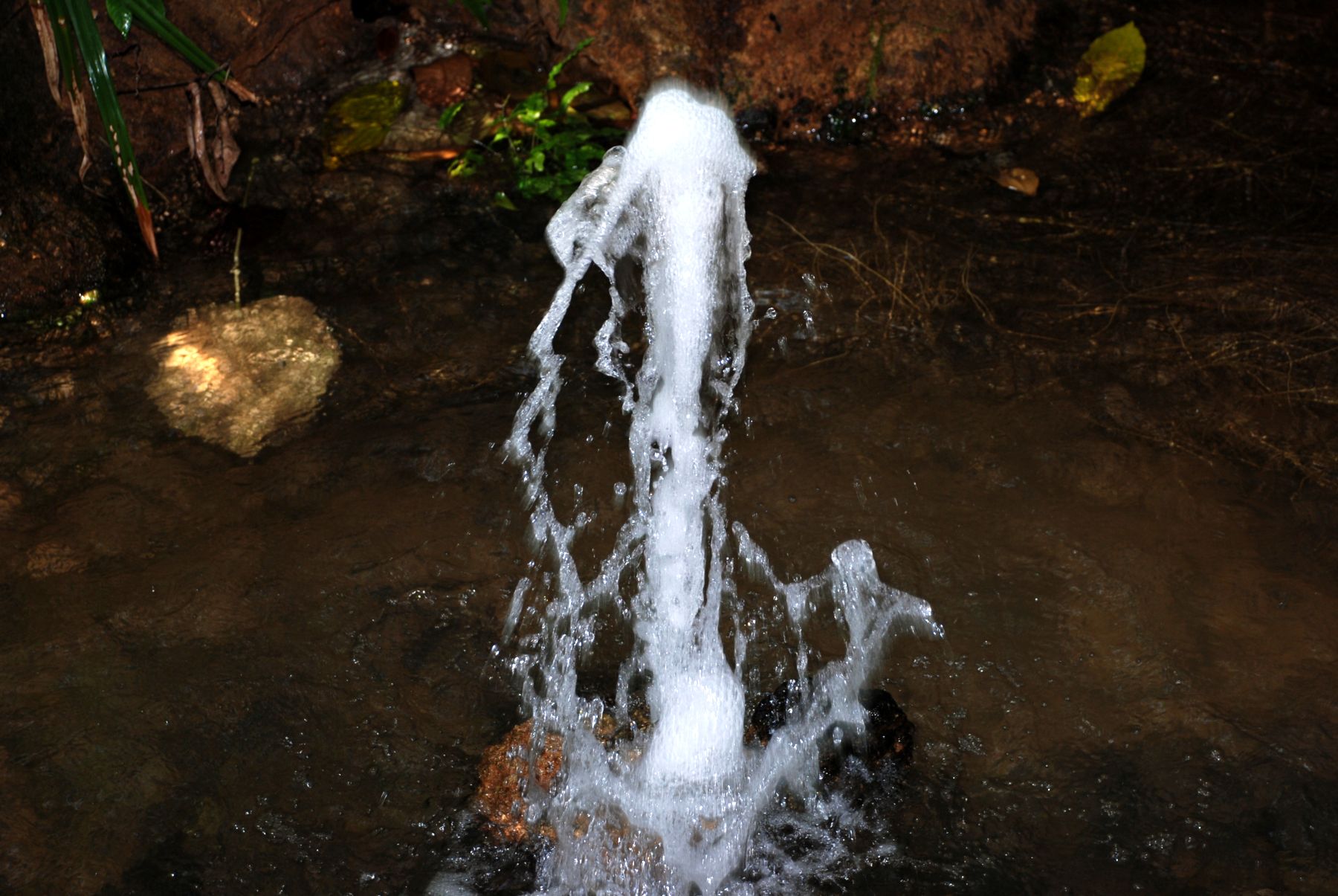 DSC_0262.JPG