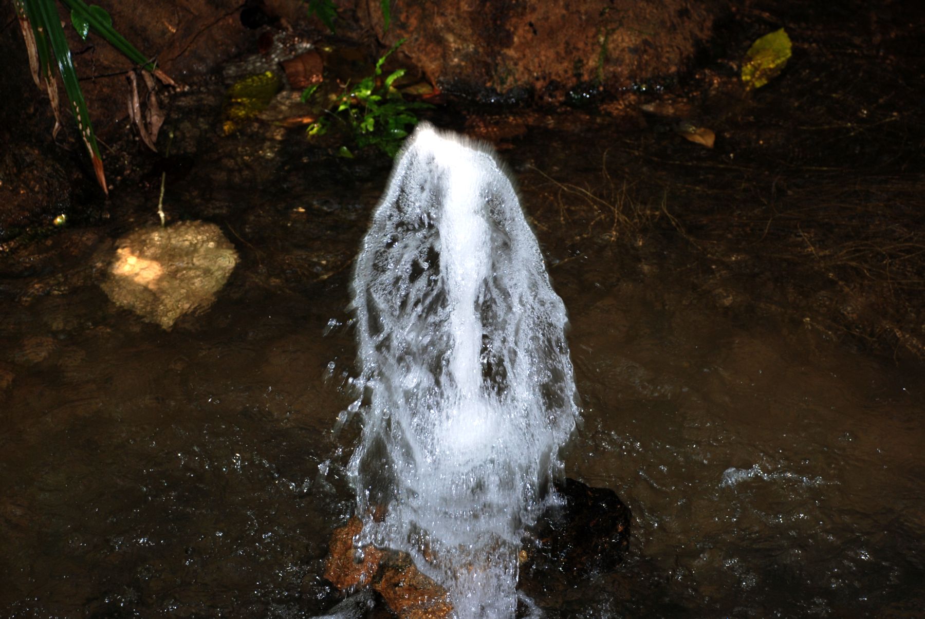 DSC_0263.JPG