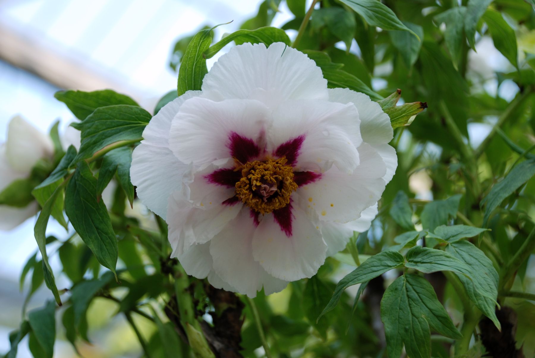 DSC_0036.JPG