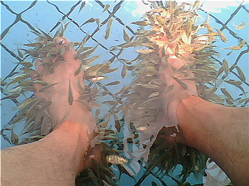 G0004A.jpg