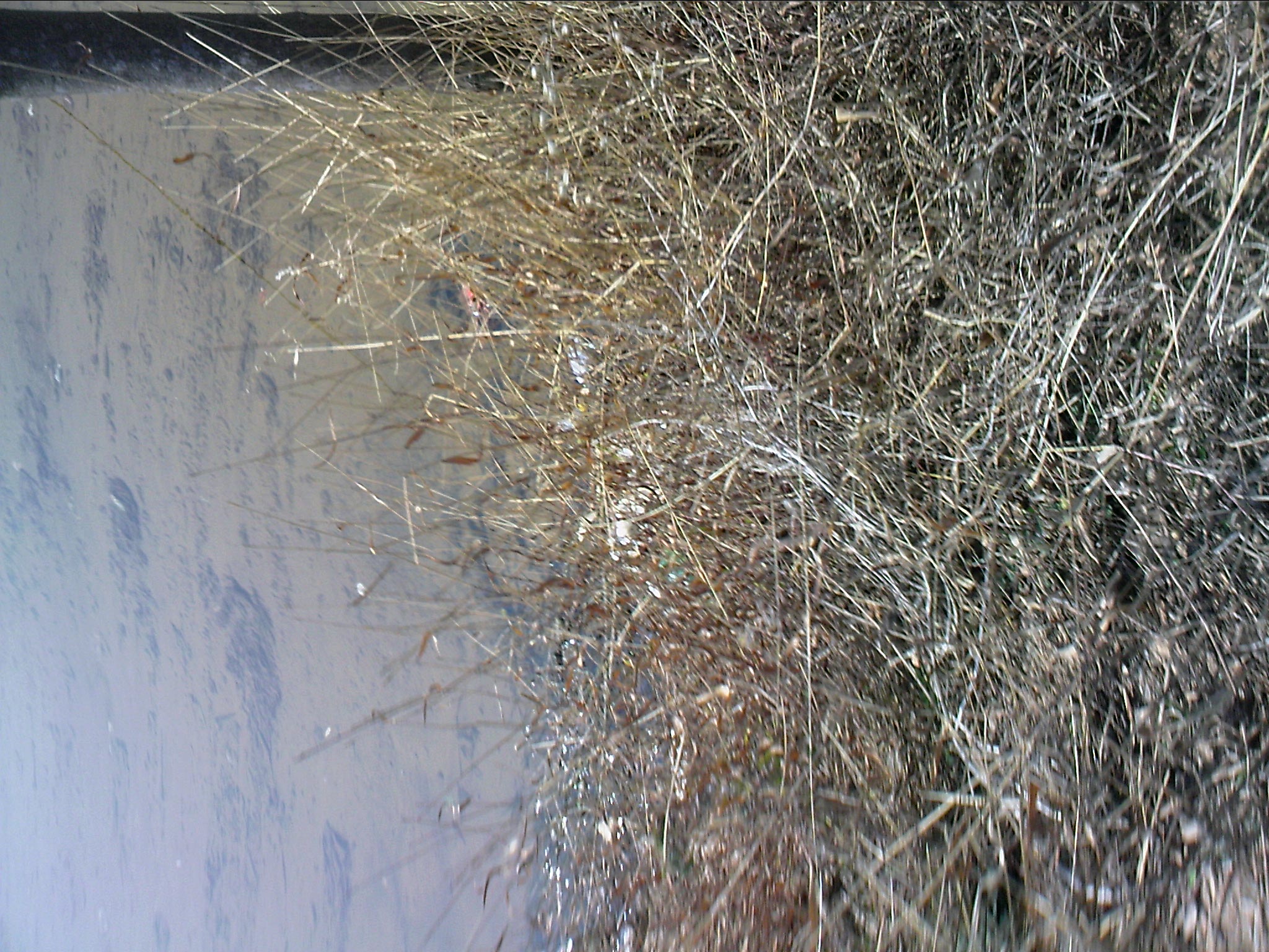 110205A004.jpg