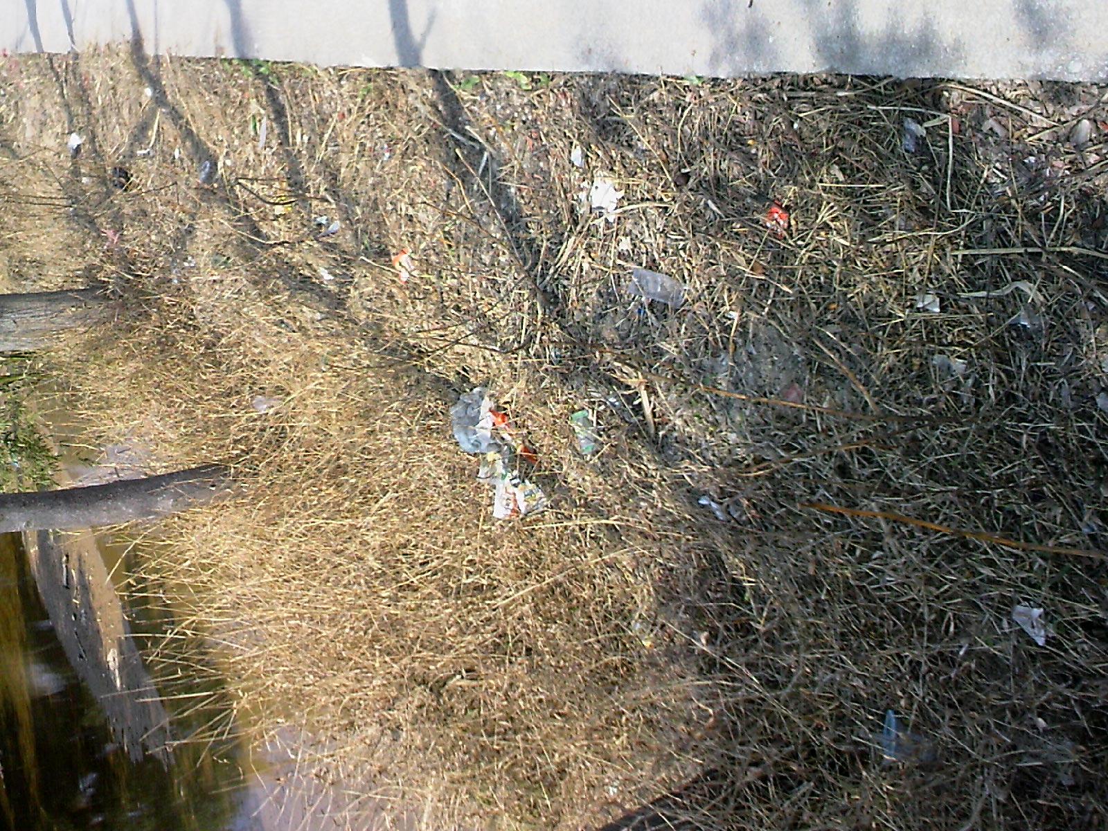 110205A006.jpg