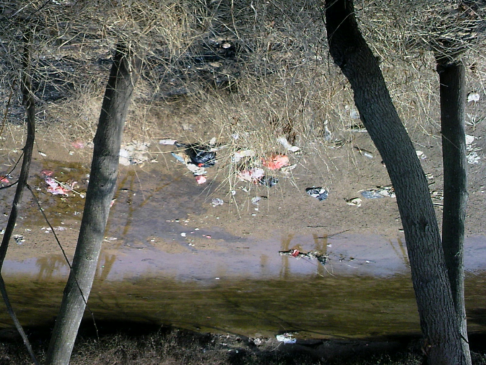 110205A008.jpg