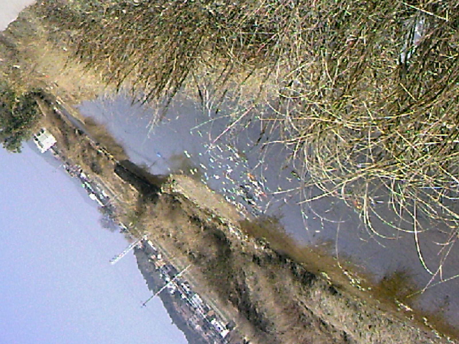 110205A009.jpg