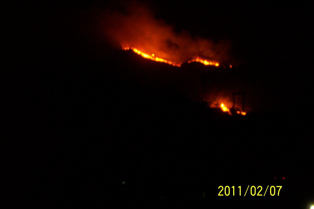 100_7990.jpg