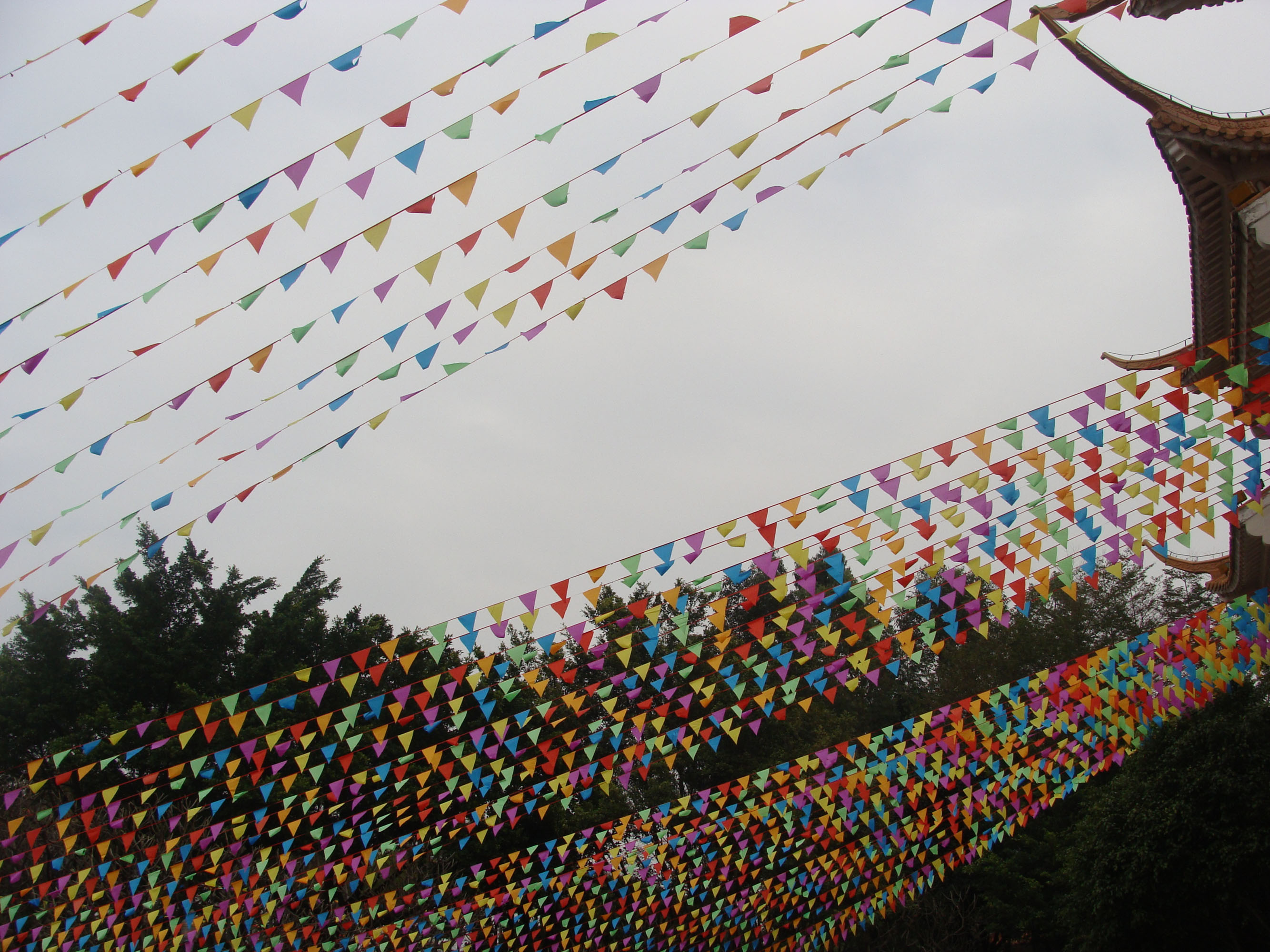 DSC08965.JPG