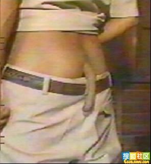 e4bb8f9c3ee008928312588bab555db3_640_480[1].jpg