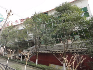 DSC02319.JPG