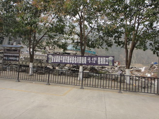 DSC02411.JPG