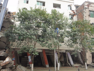 DSC02444.JPG