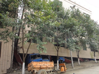 DSC02446.JPG