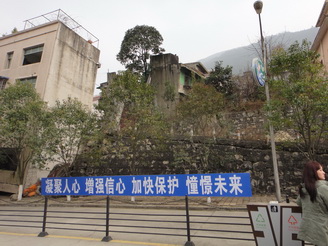 DSC02451.JPG