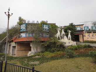 DSC02461.JPG