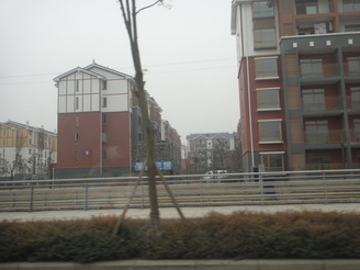 DSC02538.JPG