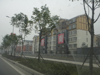DSC02541.JPG