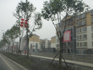 DSC02540.JPG