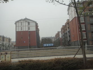 DSC02539.JPG