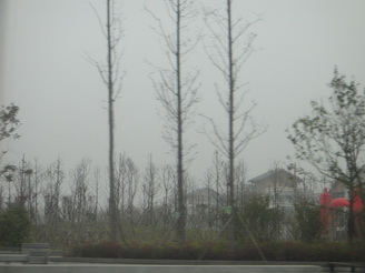 DSC02560.JPG