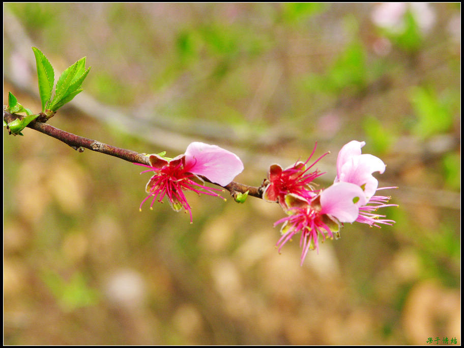 Ƭ 048.jpg