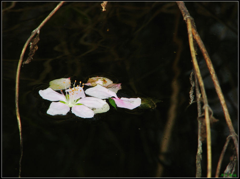 Ƭ 054.jpg