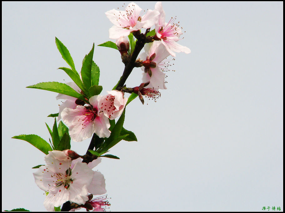 Ƭ 069.jpg